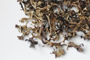 Iceland moss (fjallagrös).